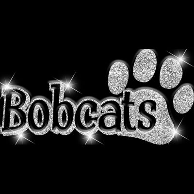 GLT17 SILVER GLITTER Thumbnail