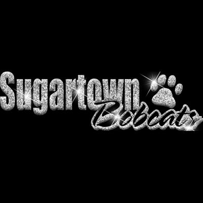 GLT1 SILVER GLITTER Thumbnail