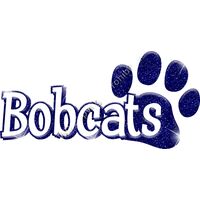 GLT17 BLUE GLITTER Thumbnail